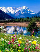 Озеро и луг в Альпийских горах