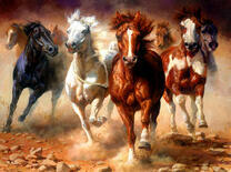 Табун сильных лошадей