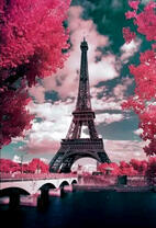 Париж в весенних цветах
