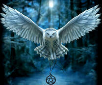 Белая сова с амулетом в зимнем лесу