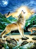 Волк у ночного ручья