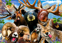 Веселые звери на фото