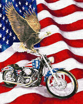 Орел на мотоцикле
