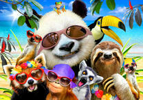 Весёлые звери и птицы Мадагаскара