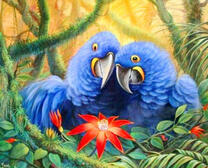 Пара синих попугаев любуются цветочком