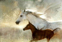 Лошадь скачет с жеребенком