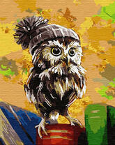 Умный совенок на книгах