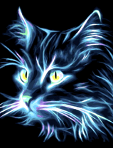 Пушистый неоновый кот