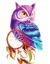 Фиолетовая сова и ловец снов