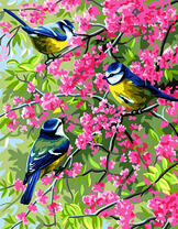 Три синички на цветущем дереве