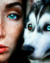 Девушка и хаски с гетерохромией