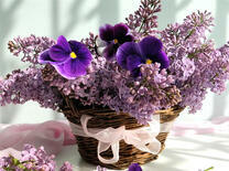 Сирень и анютины глазки в корзине