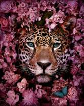 Леопард в окужении цветущих роз