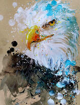 Оригинальный образ белоголового орлана