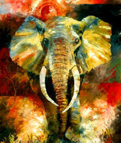 Слон на фоне африканского солнца