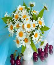 Нежный букет ромашек и вишни