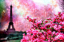 Париж в розовом цветении