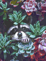 Енот среди цветов