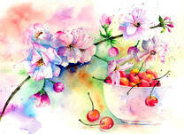 Цветы сакуры и спелая черешня