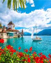 Цветы на берегу моря