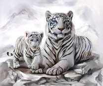 Белый тигр с малышом