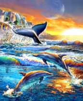 Дельфины и кит у берега