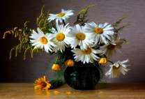 Букет белых и желтых ромашек