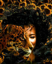 Леопард и девушка в подсолнухах