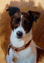 Черно-белый пёс с медалью