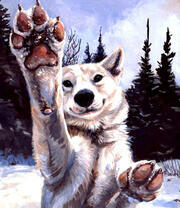 Весёлый привет от пёсика