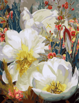 Большие белые цветы