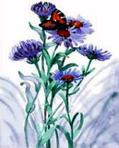 Васильки и крапивница