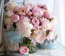 Букет нежно-розовых пионов