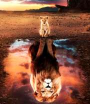 Мечты львенка