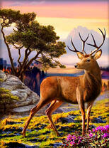 Гордый олень в вечернем лесу