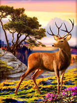 Роскошный олень в горах