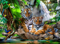 Подросшие тигрята у водопада