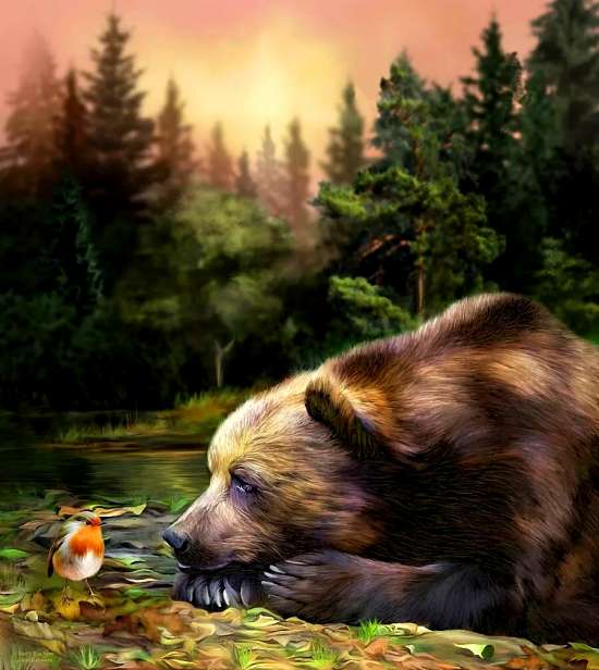 Картина по номерам 40x50 Медведь и птичка в лесу