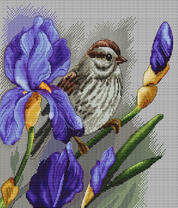 Воробей на цветущих ирисах