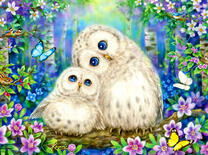 Сова и совенок в ночных цветах