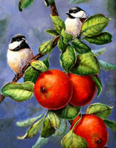 Воробушки на ветке с яблоками