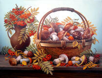 Осенний урожай: грибы и калина