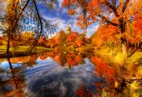 Золотая осень и река