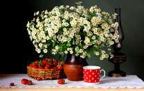 Полевые ромашки и клубника