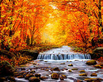 Золотые краски осени и водопад