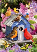 Разные птички у домика в цветах