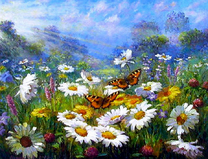 Игра бабочек над луговыми ромашками