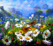 Бабочки махаон над ромашками