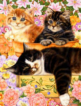 Три котенка в цветочных горшочках