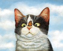 Черно-белый кот с бабочкой на носу